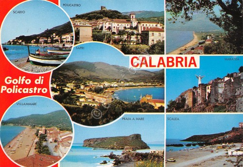 Cartolina Calabria grafica vedute varie Golfo di Policastro anni '80