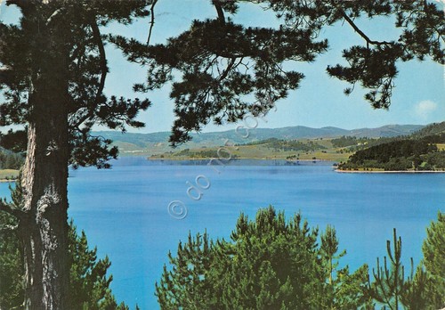 Cartolina Calabria La Sila Lago Arvo 1978 (Cosenza)