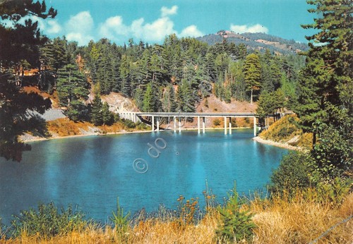 Cartolina Calabria Pittoresca La Sila ponte 1972 (Cosenza)