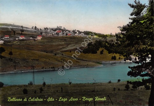 Cartolina Calabria Sila Lago Arvo Borgo Rovali