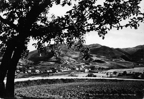 Cartolina Calestano Panorama