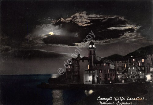 Cartolina Camogli notturno dal mare