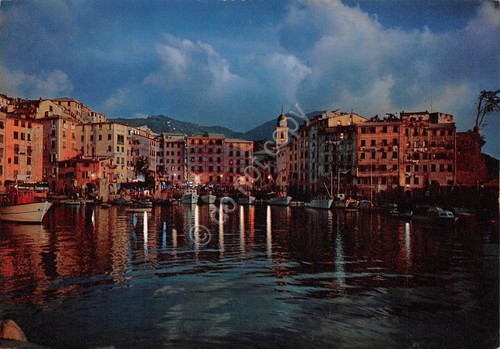 Cartolina Camogli Panorama notturno 1958