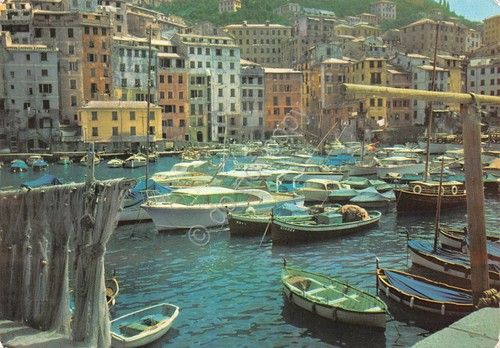 Cartolina Camogli porticciolo Timbro PT 1970 (Genova)