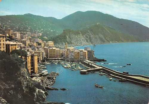 Cartolina Camogli Porto e panorama 1966