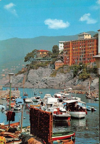Cartolina Camogli veduta del porto 1972