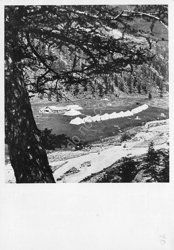 Cartolina Campeggio Monte Rosa Val D'Ayas 1937 Touring Club fotocartolina …