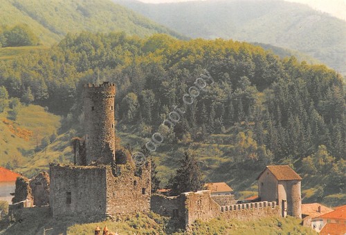 Cartolina Campo Ligure Castello 1988