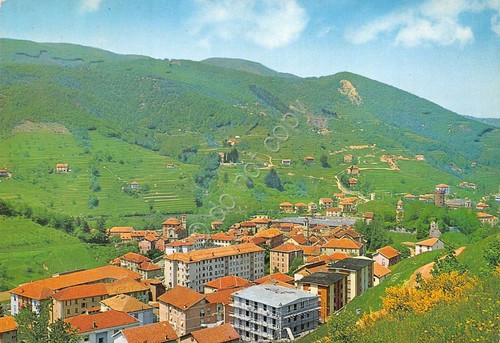 Cartolina Campo Ligure panorama parziale 1971