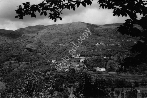 Cartolina Campori Chiavari panorama 1956
