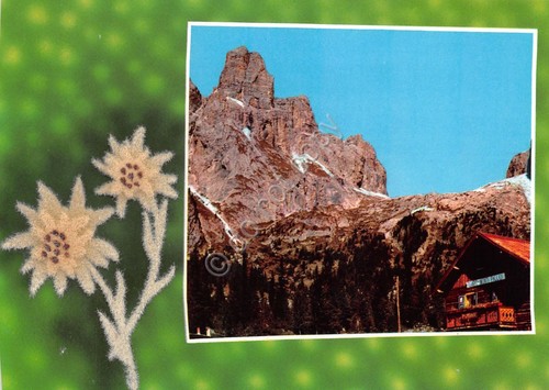 Cartolina Canazei Rifugio Monti Pallidi con stella alpina in velluto