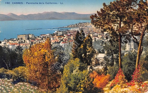 Cartolina Cannes Panorama de la Californie 1931
