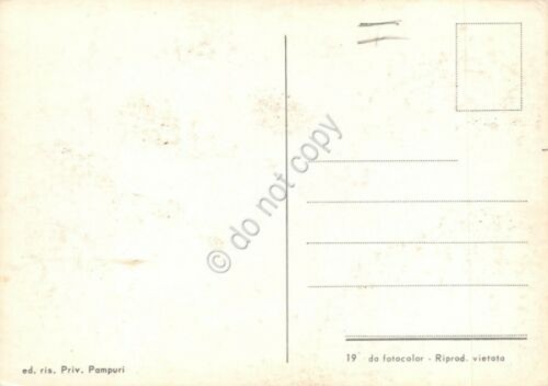 Cartolina Canneto sull' Oglio vedute varie paese