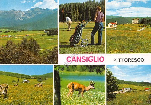 Cartolina Cansiglio vedute varie e Golf Club