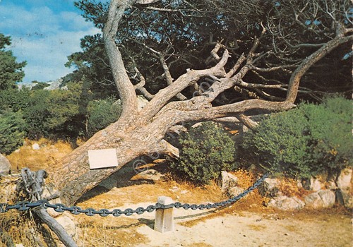 Cartolina Caprera Luogo scelto per cremazione salma Garibaldi