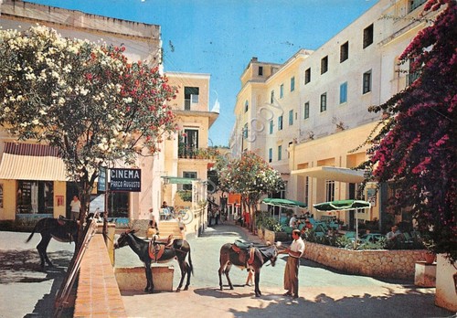 Cartolina Capri Albergo Quisisana Cinema Parco Auguso asini 1957