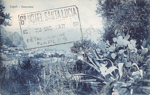 Cartolina Capri Panorama Timbro Albergo Hotel Santa Lucia 1931