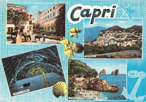 Cartolina Capri vedute varie con conchiglie 1964 (Napoli)