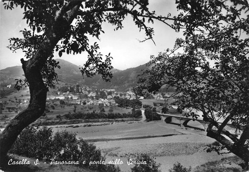 Cartolina Casella Scrivia Panorama e ponte 1956
