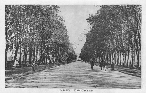 Cartolina Caserta Viale Carlo III animata anni '40