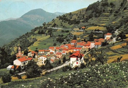 Cartolina Cassingheno panorama anni '60