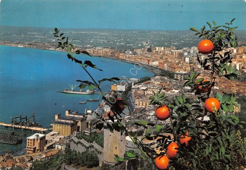Cartolina Castellamare di Stabia Panorama da Quisisana 1970 (Napoli)