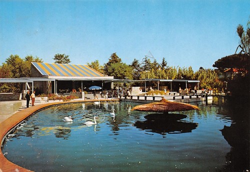 Cartolina Castellamare di Stabia Terme Laghetto dei cigni animata anni …