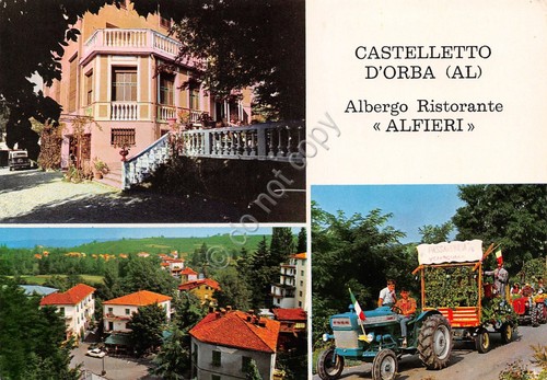 Cartolina Castelletto d'Orba Albergo Alfieri vedute