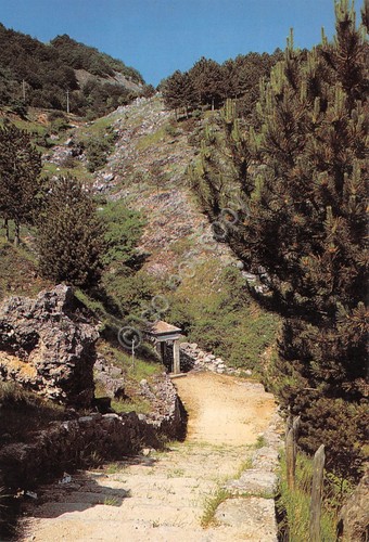 Cartolina Castelpetroso Fontana dell'acqua prodigiosa anni '70
