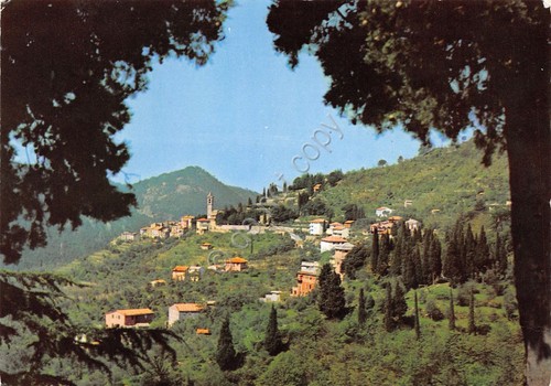 Cartolina Castiglione Chiavarese panorama 1975