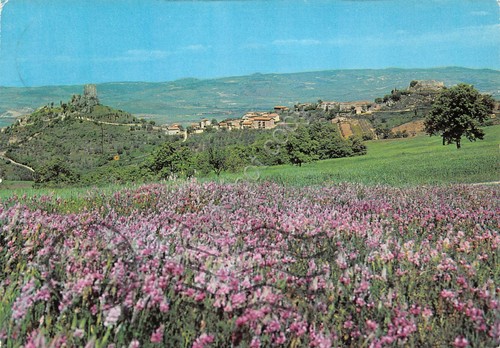 Cartolina Castiglione d'Orcia Panorama con due rocche (Siena)