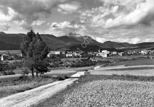 Cartolina Cavareno Panorama con Monte Cuco (Trento)