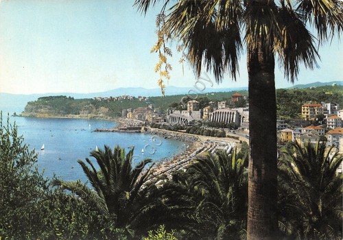 Cartolina Celle Ligure Panorama con palma (Savona)