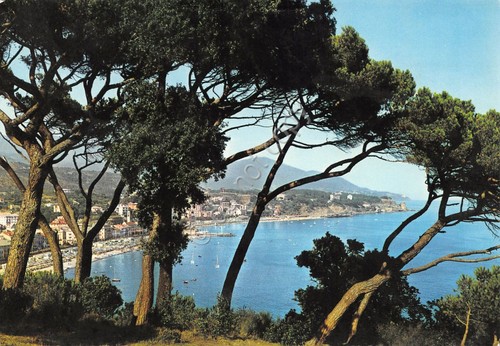Cartolina Celle Ligure panorama da piante mare spiaggia