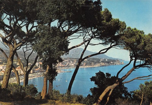 Cartolina Celle Ligure panorama dai pini (Savona)