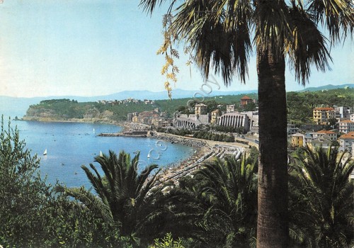 Cartolina Celle Ligure Panorama parziale dalle palme (Savona)