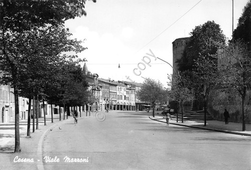 Cartolina Cesena Viale Mazzoni anni '50