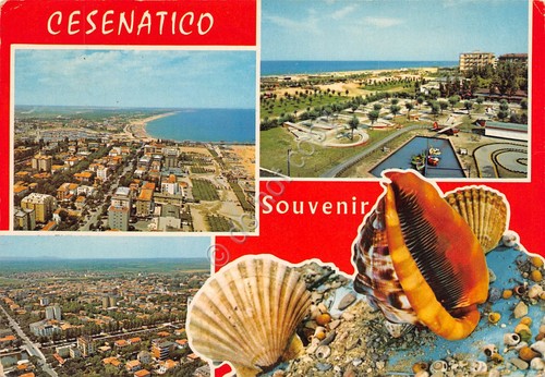 Cartolina Cesenatico vedute varie e conchiglie 1980 (Rimini)