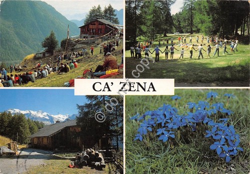 Cartolina Champoluc Ca' Zena Vedutine (Aosta)
