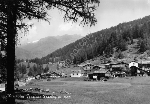 Cartolina Champoluc frazione Frachey 1964