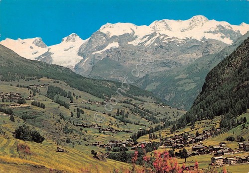 Cartolina Champoluc panorama 1982 (Aosta)