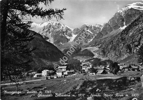 Cartolina Champoluc Panorama