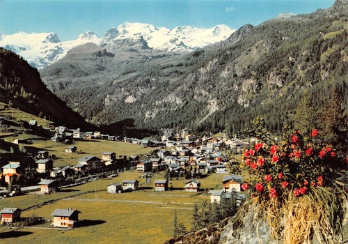Cartolina Champoluc Panorama con Monte Rosa (Aosta)