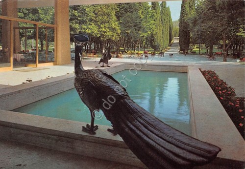 Cartolina Chianciano Terme Stabilimento Acquasanta Fontana dei Pavoni 1983