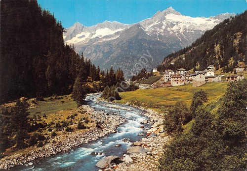 Cartolina Chiareggio Valmalenco panorama 1977 (Sondrio)