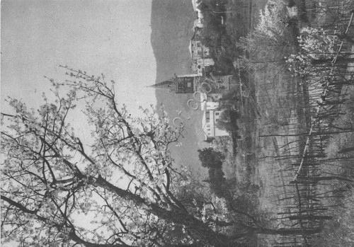 Cartolina Chiavari Abbazia S. Salvatore dei Fieschi 1967 (Genova)