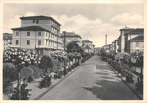 Cartolina Chiavari Corso Italia 1955