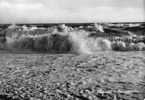 Cartolina Chiavari Mareggiata 1954 (Genova)