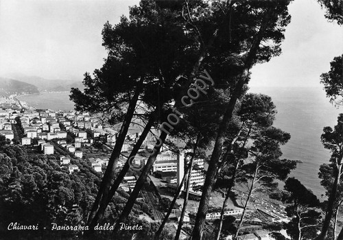 Cartolina Chiavari Panorama da pineta 1951