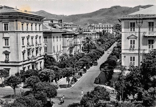 Cartolina Chiavari Viale degli aranci 1955